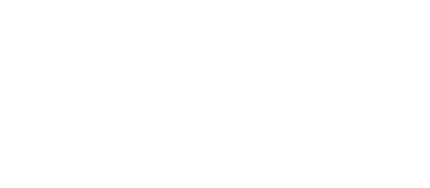 WEBDEV